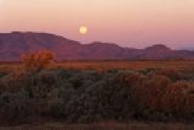 Flinders Ranges-SA Flin 14.jpg